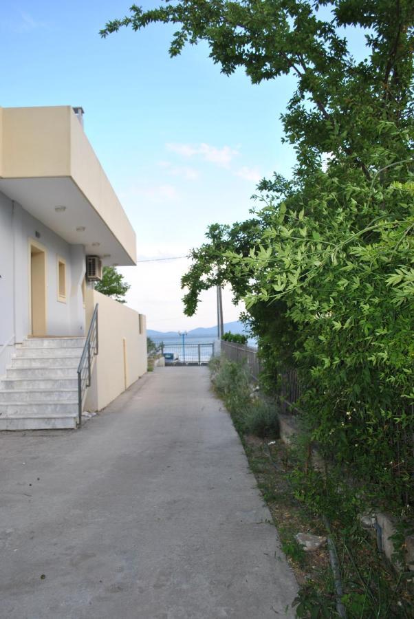 Artemis - Marina Apartments Evia エクステリア 写真