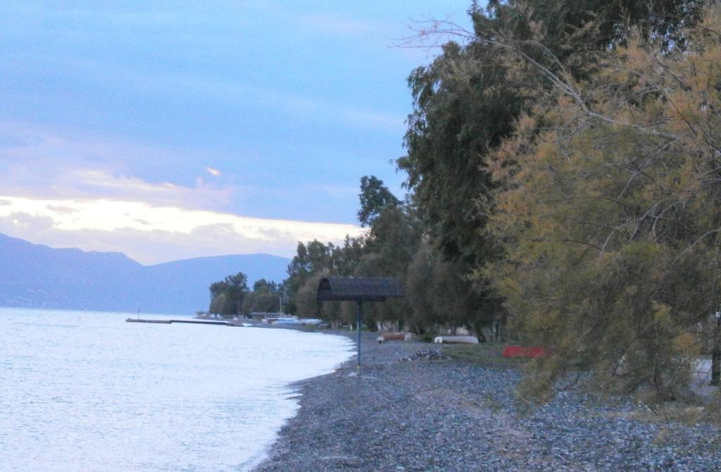 Artemis - Marina Apartments Evia 部屋 写真