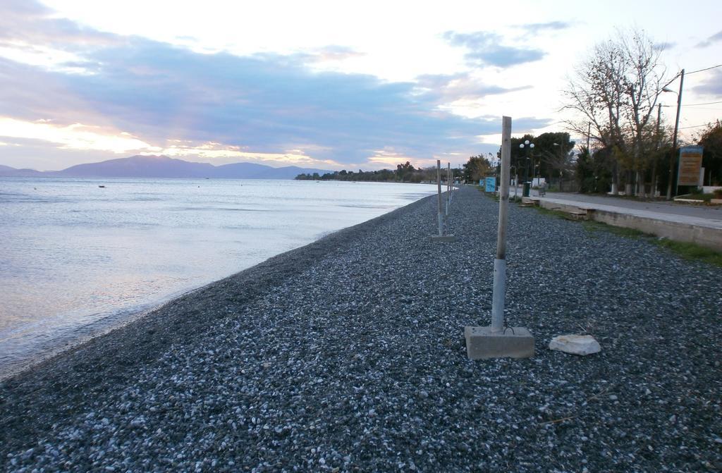 Artemis - Marina Apartments Evia 部屋 写真