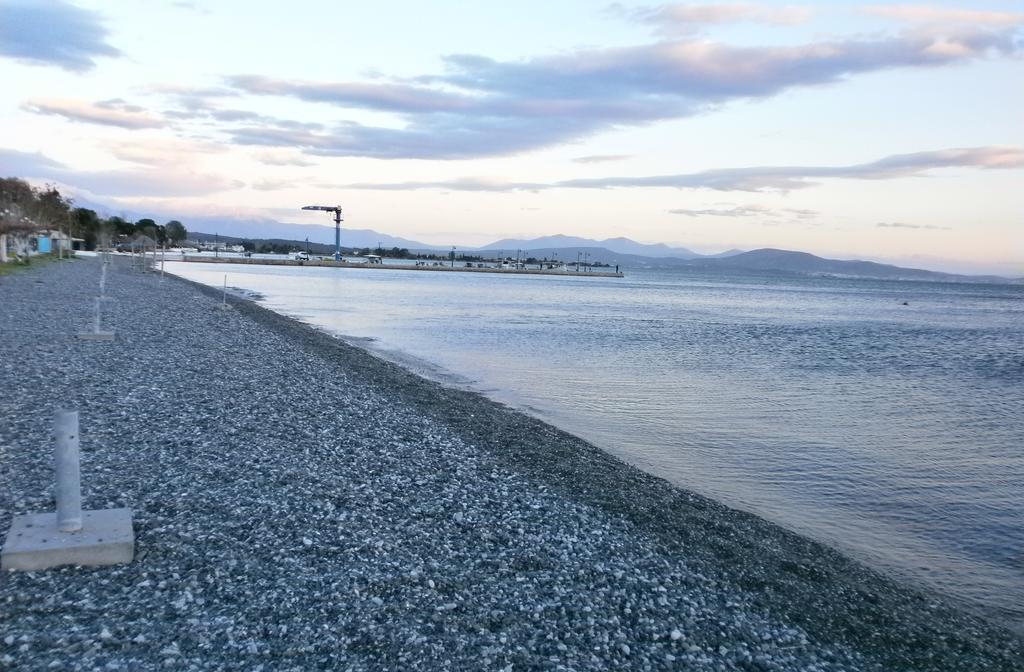 Artemis - Marina Apartments Evia 部屋 写真