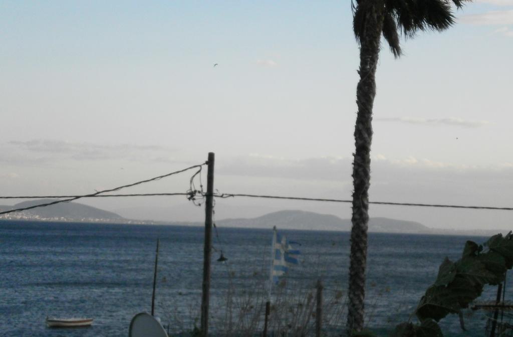 Artemis - Marina Apartments Evia 部屋 写真