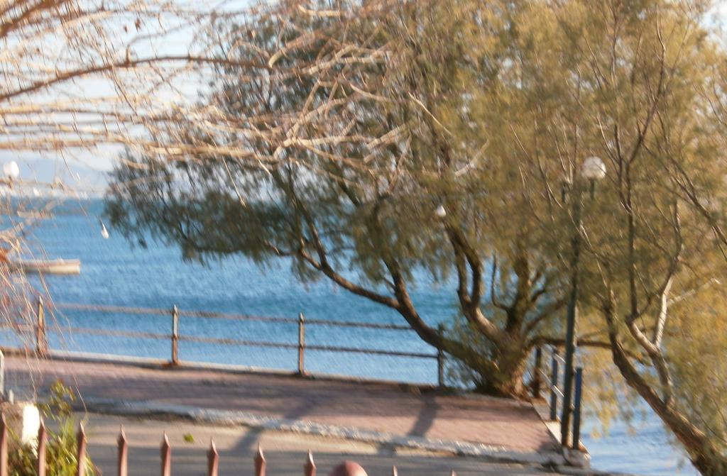 Artemis - Marina Apartments Evia 部屋 写真