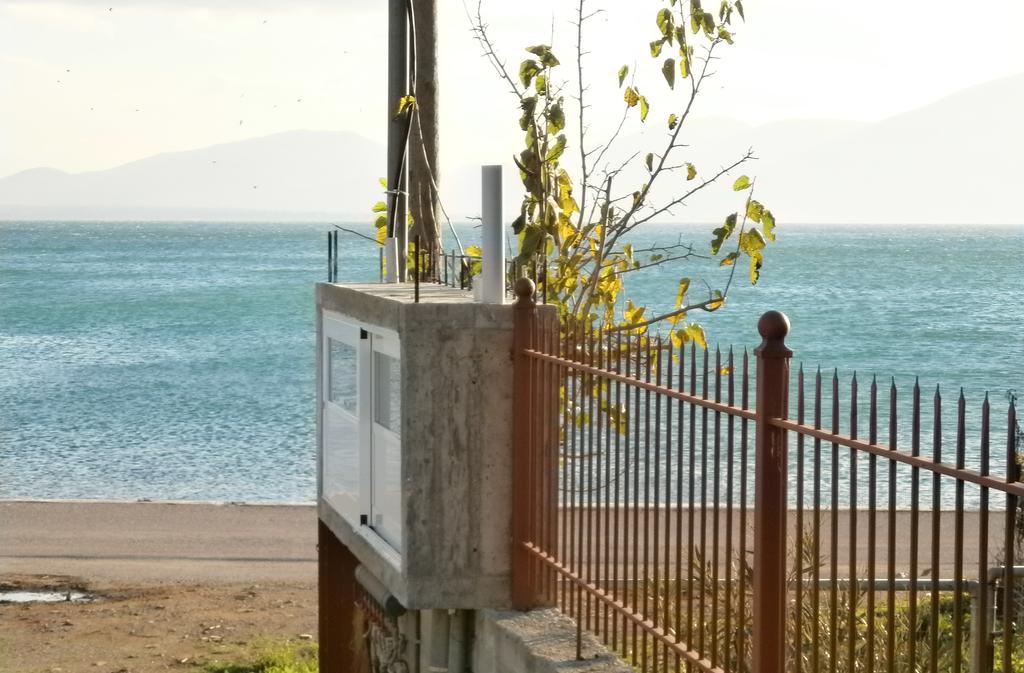 Artemis - Marina Apartments Evia 部屋 写真