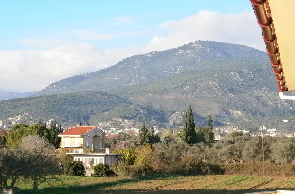 Artemis - Marina Apartments Evia 部屋 写真